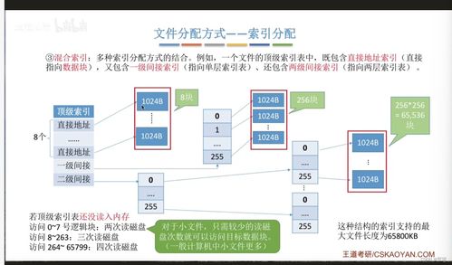 文件的物理結(jié)構 數(shù)據(jù)處理與存儲支持服務的基石