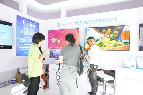 貴州電子商務云 學經驗 覓商機 參展服貿會收獲頗豐