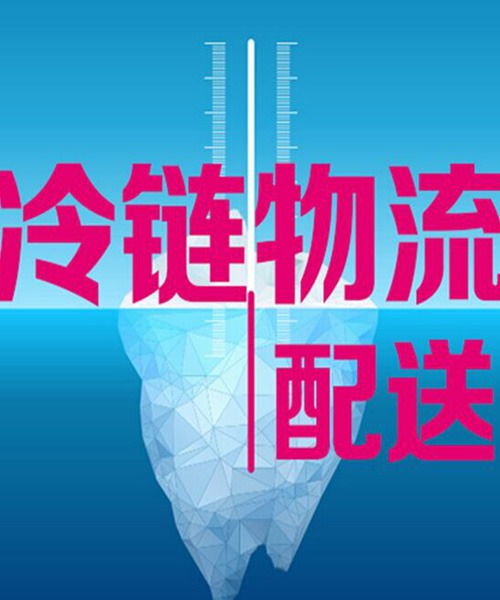 上海到天津冷藏物流公司 上海到天津冷鏈貨運(yùn)專(zhuān)線(xiàn) 秋果供
